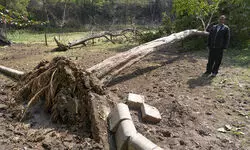 Delhi quake not tectonic, linked to weak rock layers: National Centre for Seismology Delhi quake not tectonic, linked to weak rock layers: National Centre for Seismology