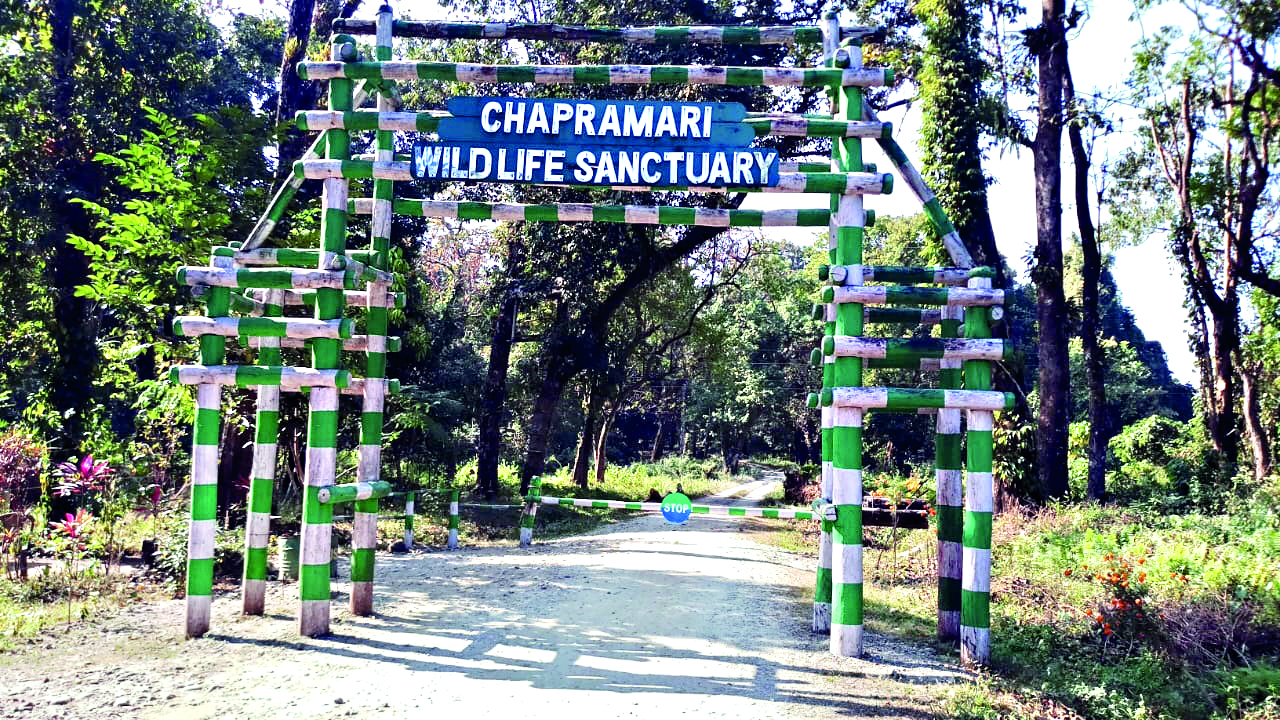 Tourism master plan in the works for Gorumara & Chapramari ESZ