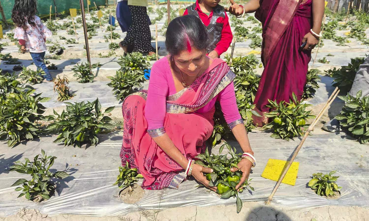 SHG Plus model helping rural women build homes, educate children, secure futures