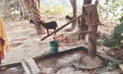 Severe drinking water crisis in Tapan Block sparks concern Severe drinking water crisis in Tapan Block sparks concern