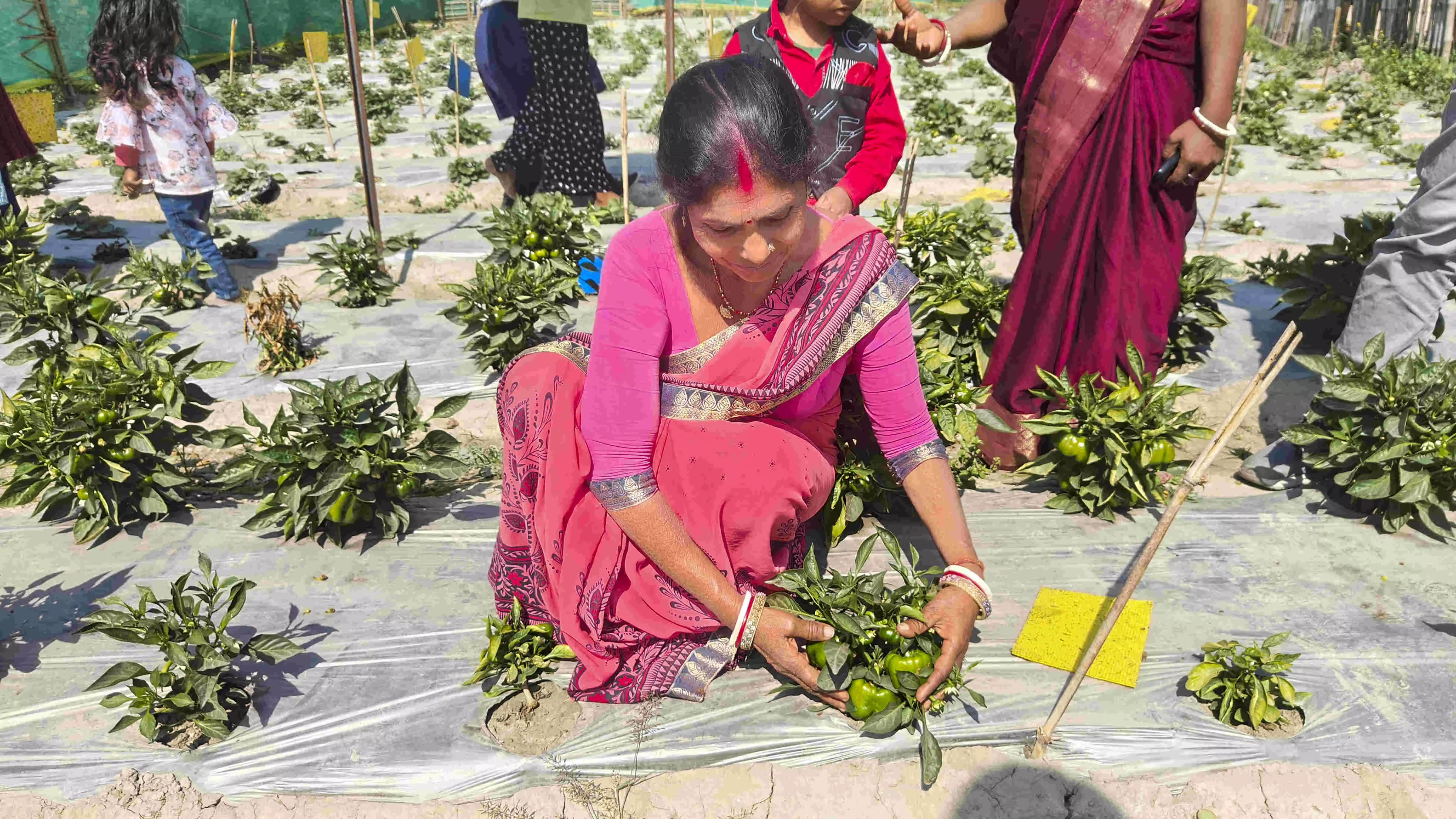 SHG Plus model helping rural women build homes, educate children, secure futures SHG Plus model helping rural women build homes, educate children, secure futures