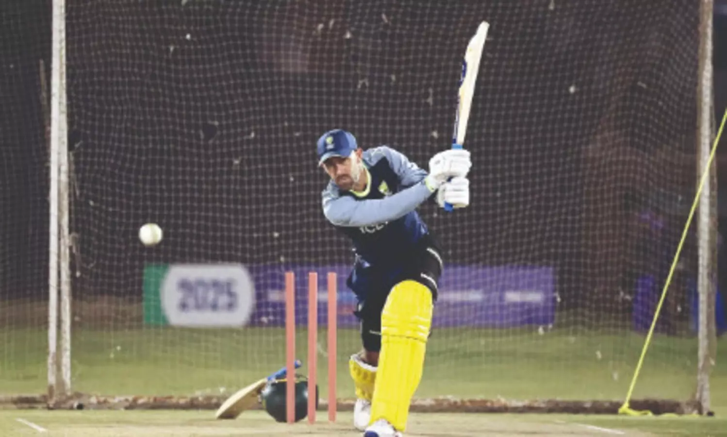 Underdogs with lethal bite