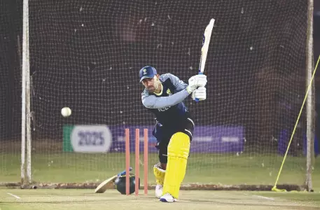 Underdogs with lethal bite Underdogs with lethal bite