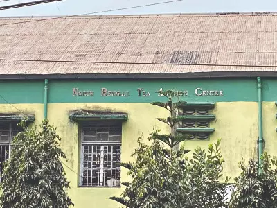 March 31: Jalpaiguri Tea Auction Centre to reopen after a decade March 31: Jalpaiguri Tea Auction Centre to reopen after a decade