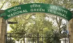 NGT seeks presence of Uttarakhand govt officials over illegal felling of trees