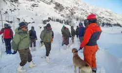 Bodies of four more missing workers recovered from avalanche site, rescue operation ends