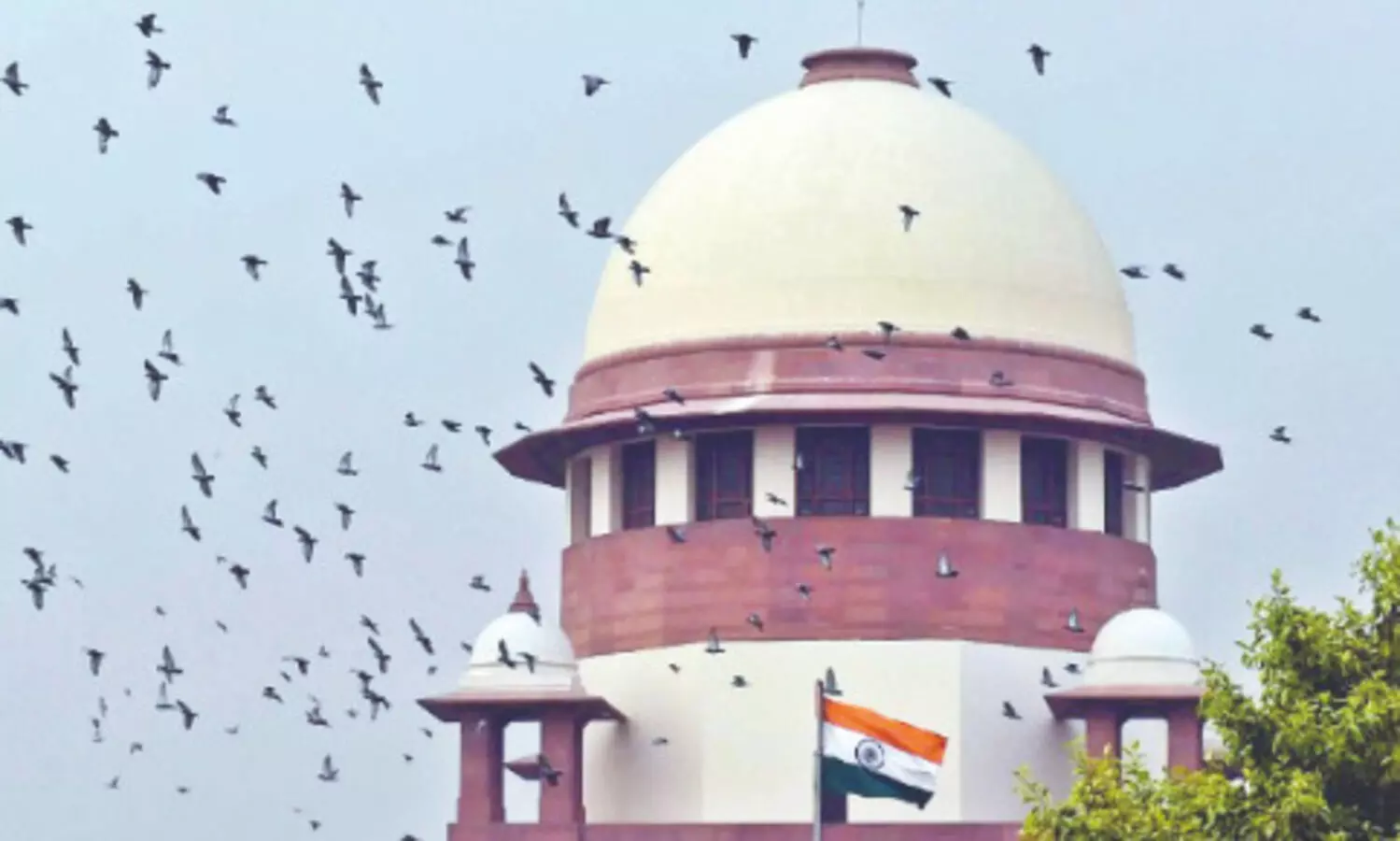 Supreme Court allows visually impaired persons in judiciary