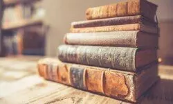 Emerging from the Shadows