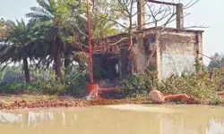 Govt pump malfunction threatens Boro rice cultivation in Balurghat Govt pump malfunction threatens Boro rice cultivation in Balurghat