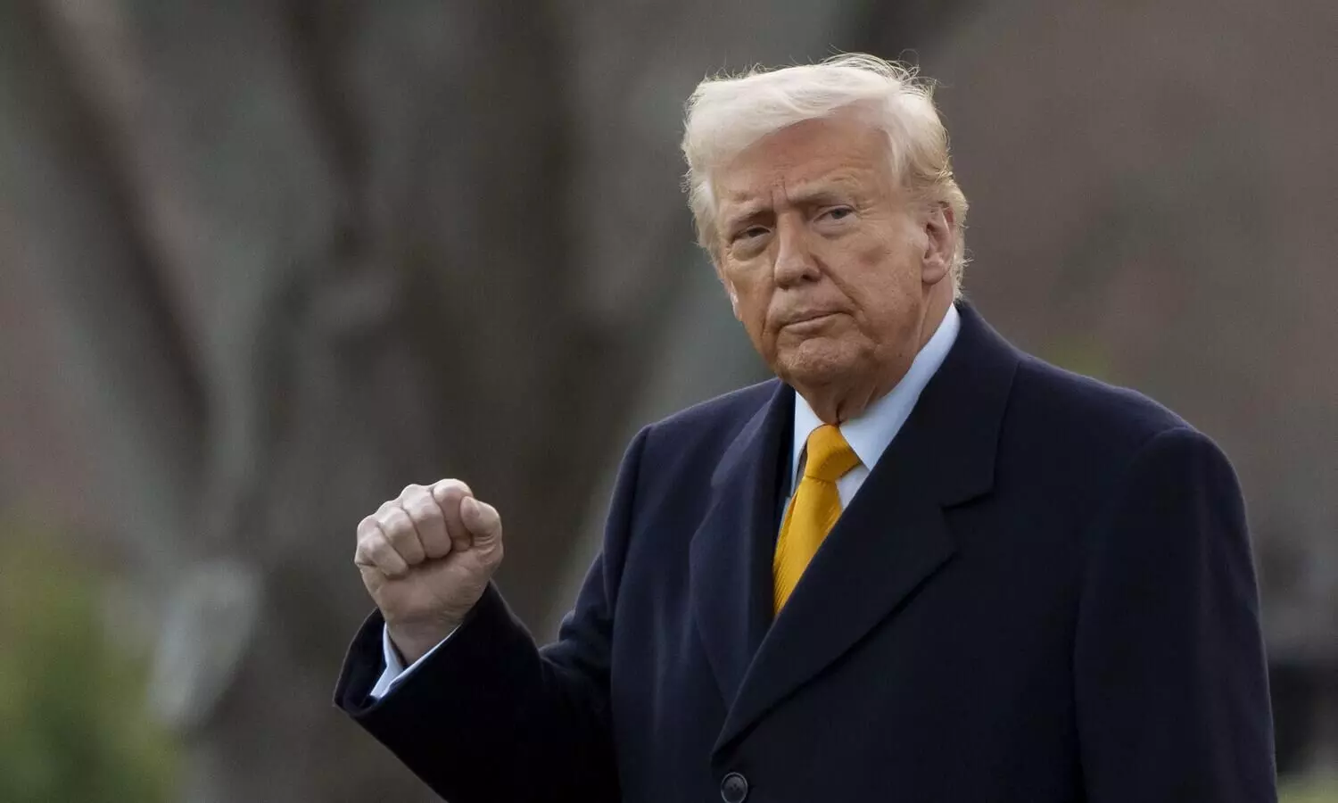 India has agreed to cut tarrifs way down because it has been finally exposed: Trump