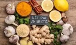 How can you balance antibiotics and natural remedies for infections?