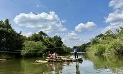 Stepping into Paradise Stepping into Paradise