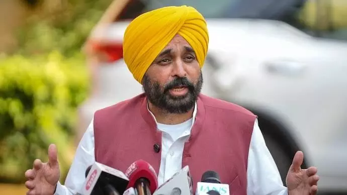 Jathedars removal seems to be act of vengeance, says Punjab CM Mann Jathedars removal seems to be act of vengeance, says Punjab CM Mann