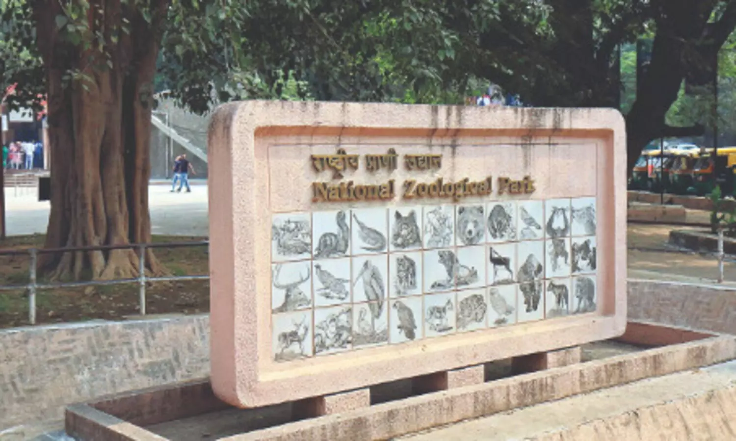 Delhi zoo to receive smooth-coated otters after 2 decades