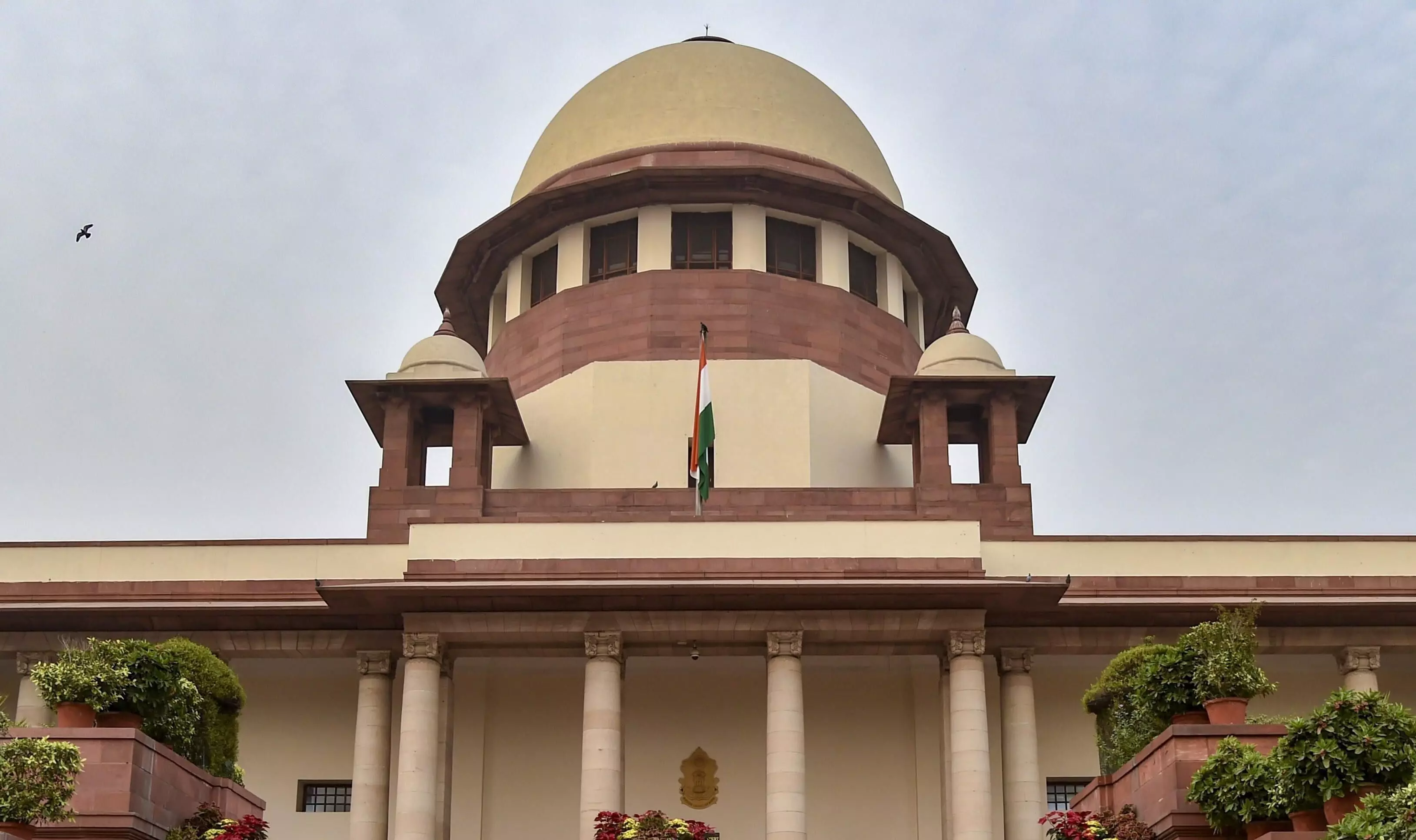 Regularisation benefits: SC pulls up J&K officials for non-compliance of HC order Regularisation benefits: SC pulls up J&K officials for non-compliance of HC order