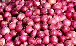 Farmers climb atop water tank to protest drop in onion prices at Lasalgaon APMC