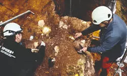 Fossils of facial bones unearthed in a cave indicate ‘oldest known human’