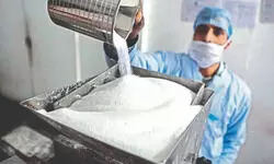 Sugar output declines 16.13% to 23.71 mn tonnes so far this season Sugar output declines 16.13% to 23.71 mn tonnes so far this season