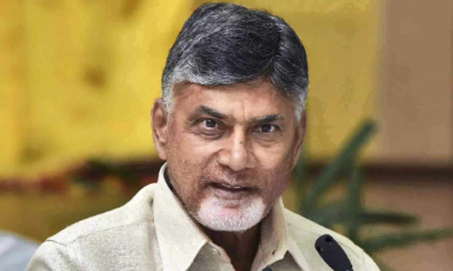 Only people studying in mother tongue excel across world: Chandrababu Naidu Only people studying in mother tongue excel across world: Chandrababu Naidu