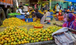 Indias wholesale inflation largely steady in February at 2.38% Indias wholesale inflation largely steady in February at 2.38%
