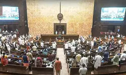 Opposition members flag Ayushman Bharat schemes shortcomings in Rajya Sabha