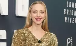 Amanda Seyfried criticises Jennifers Bodys marketing strategy, calls film perfect