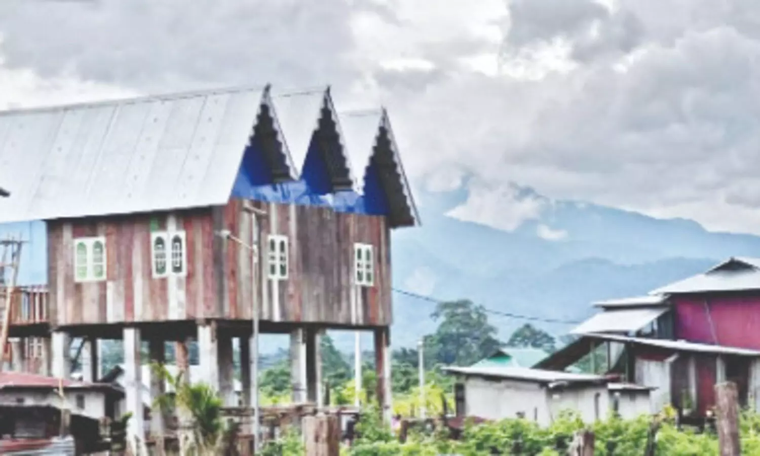 Alipurduar admin revamps ‘Bono Chaya’ dev project