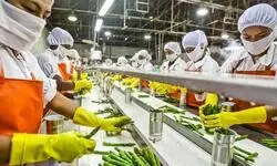 Food processing PLI: 171 firms approved, over 2.89 lakh jobs generated Food processing PLI: 171 firms approved, over 2.89 lakh jobs generated
