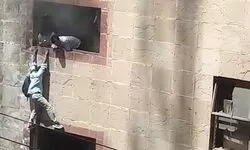 Massive fire in commercial building in Noida, several injured