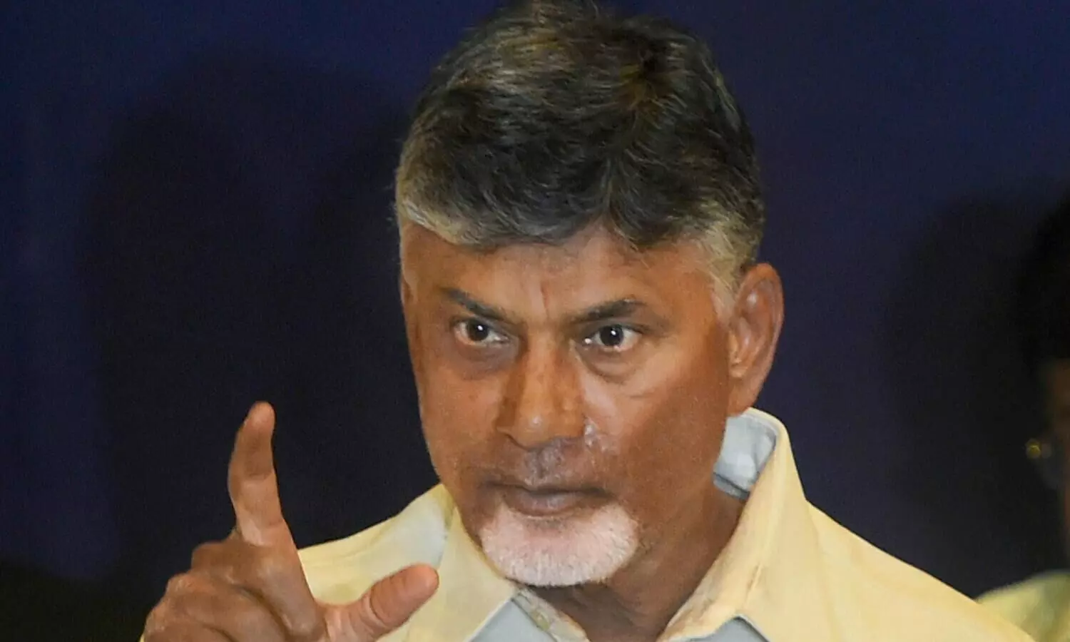 US tariffs unexpected problem, will stand by aquaculture sector: Andhra CM Naidu