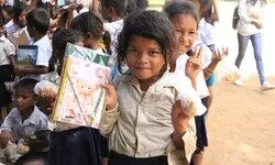 Critical Bulwark Critical Bulwark