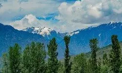 The New Pulse of Paradise The New Pulse of Paradise