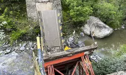 Bridge collapses in Kullu, sand-laden truck plunges into river