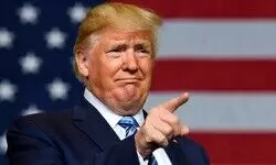 Choosing the Right Allies