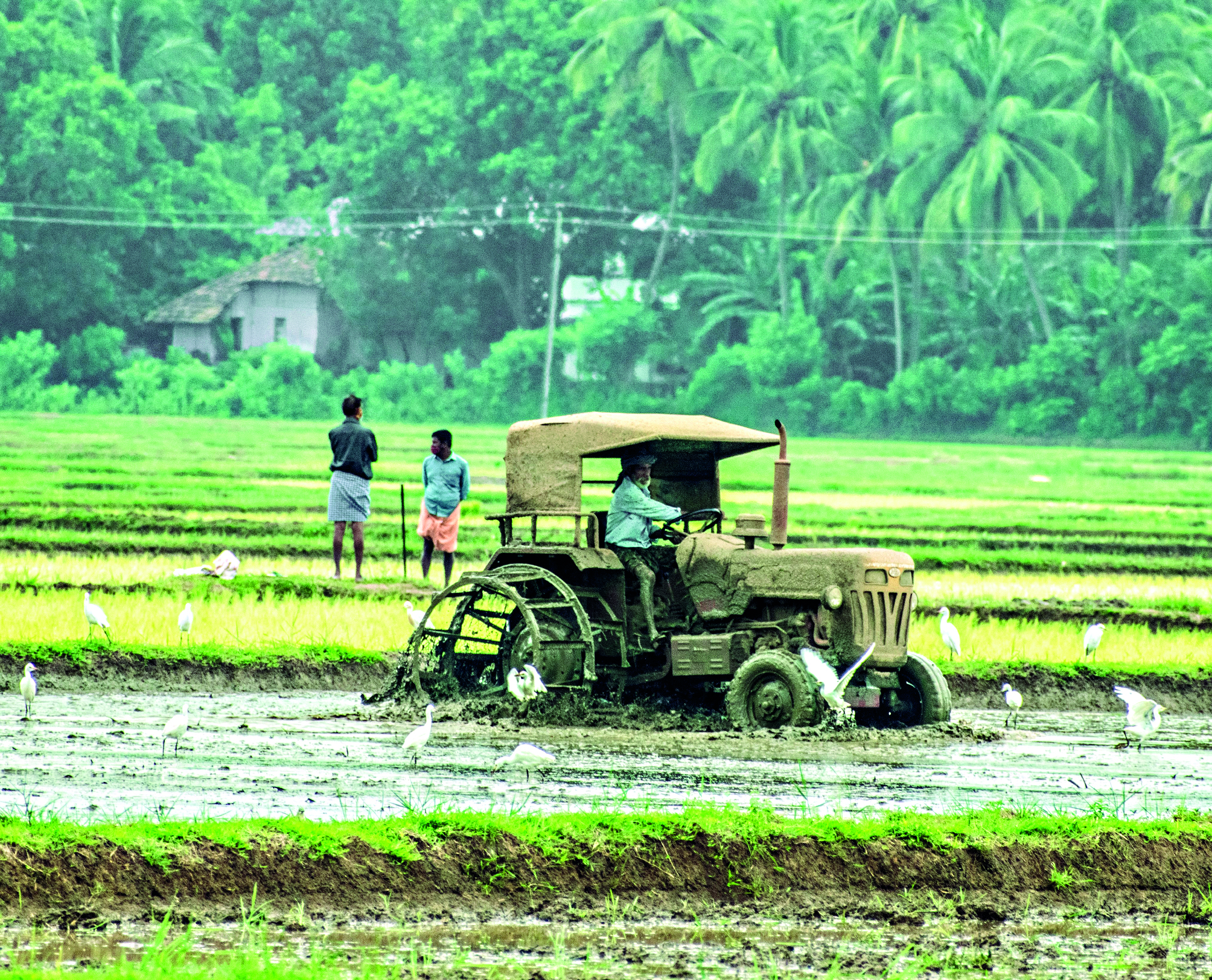 Searching for New-Age Solutions