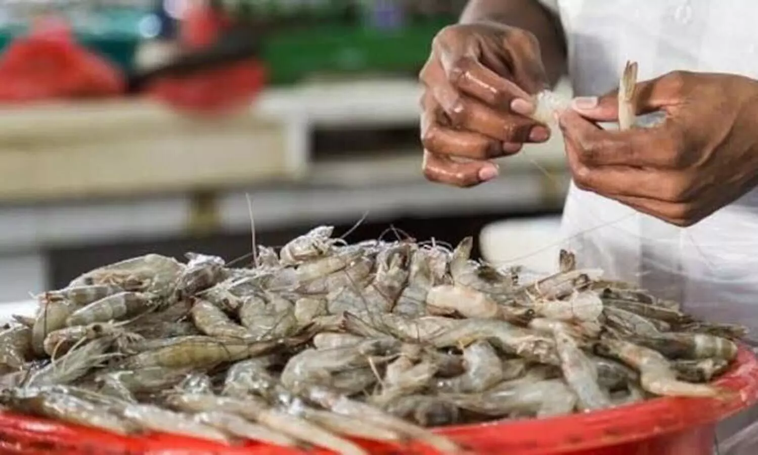 India preparing to ship 40,000 tonnes of shrimp to US after tariff pause