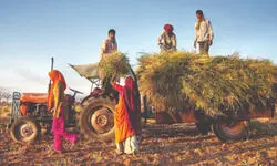 Engage. Empower. Evolve.