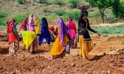 Price of Policy Branding Price of Policy Branding