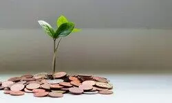 Loans. Defaults. Despair Loans. Defaults. Despair