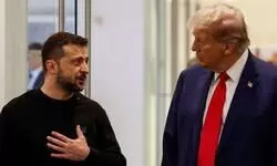 Good progress in rare earth minerals deal talks with US: Zelensky