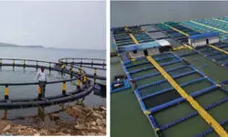 Harnessing Reservoir Fisheries Harnessing Reservoir Fisheries