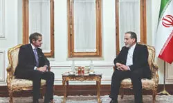 UN’s nuclear watchdog says Iran-US talks are verging on ‘crucial’ period