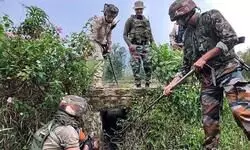 Two militants arrested, 11 firearms seized in Manipur