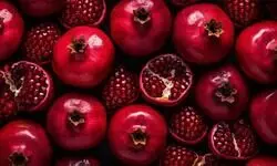 1st commercial sea shipment of unique Indian pomegranates reaches US: Centre 1st commercial sea shipment of unique Indian pomegranates reaches US: Centre