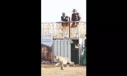 MP: Gandhi Sagar Wildlife Sanctuary becomes second home to Cheetahs MP: Gandhi Sagar Wildlife Sanctuary becomes second home to Cheetahs