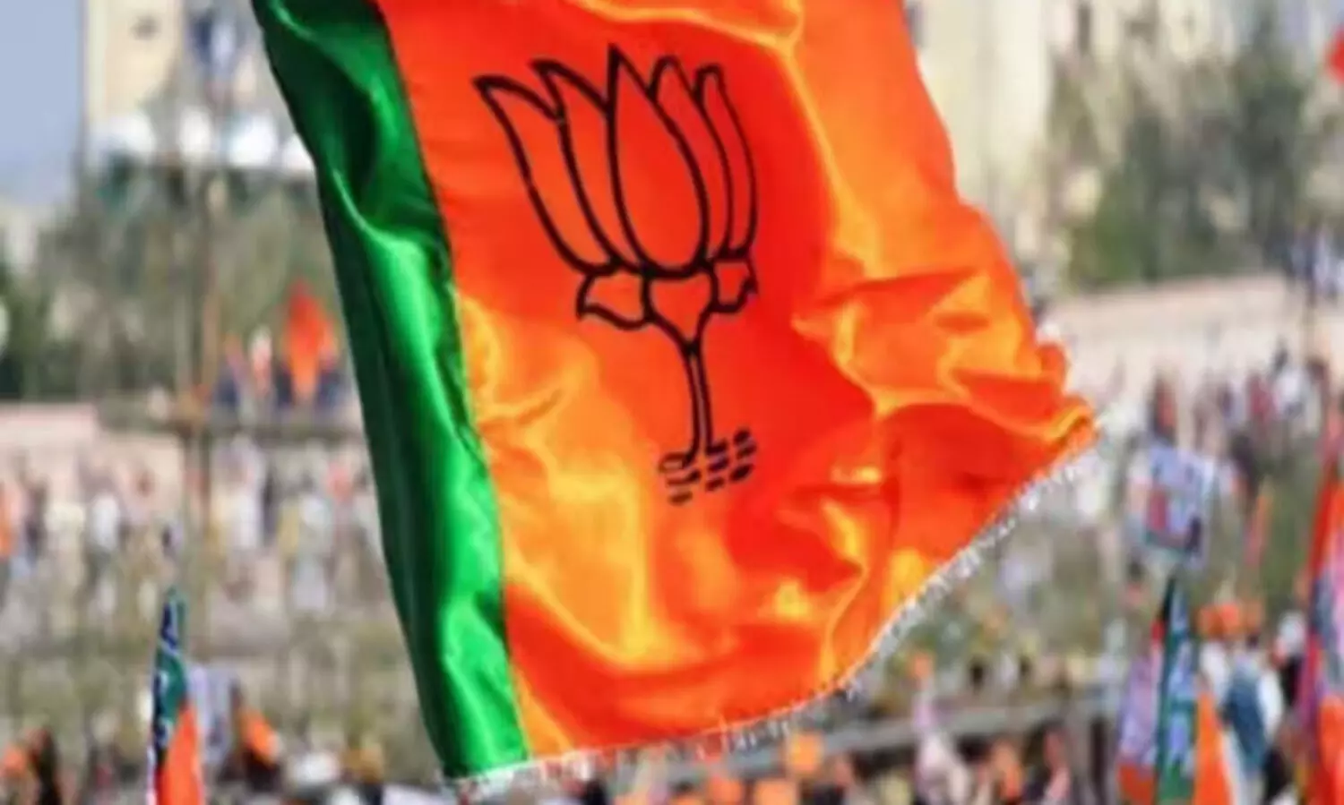 BJP man booked for sexually assaulting woman in MPs Sidhi; party expels him