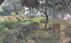 Historic Nilkuthi of Kushmandi crumbles amid years of neglect Historic Nilkuthi of Kushmandi crumbles amid years of neglect