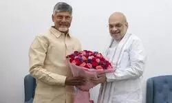 Andhra CM Naidu meets Amit Shah, other Union ministers; discusses Polavaram project