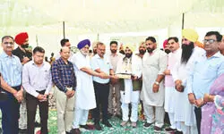 ‘PSPCL to recruit under sports quota’