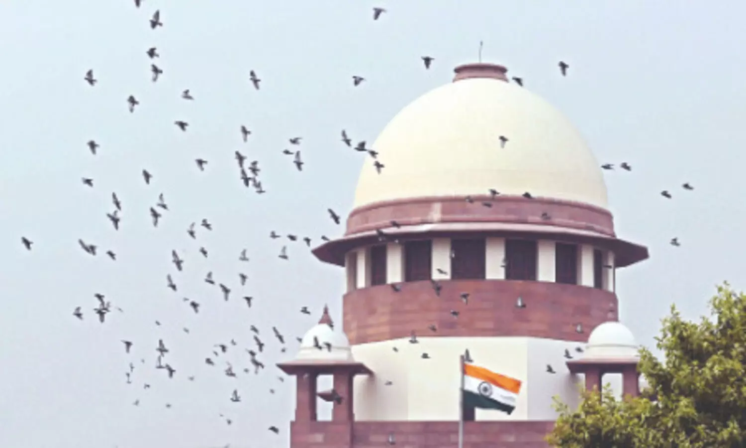 ‘Designate sr officials over solid waste collection & segregation’